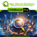 Asia Virtual Solutions LinkBoost Pro specialize in link insertion services.